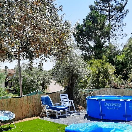 Adore Portugal Bungalow Natureza & Vista De Serra 洛萨 外观 照片