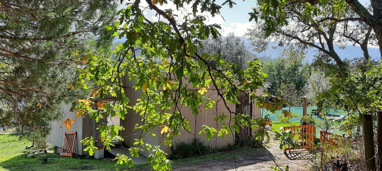 Adore Portugal Bungalow Natureza & Vista De Serra 洛萨 外观 照片