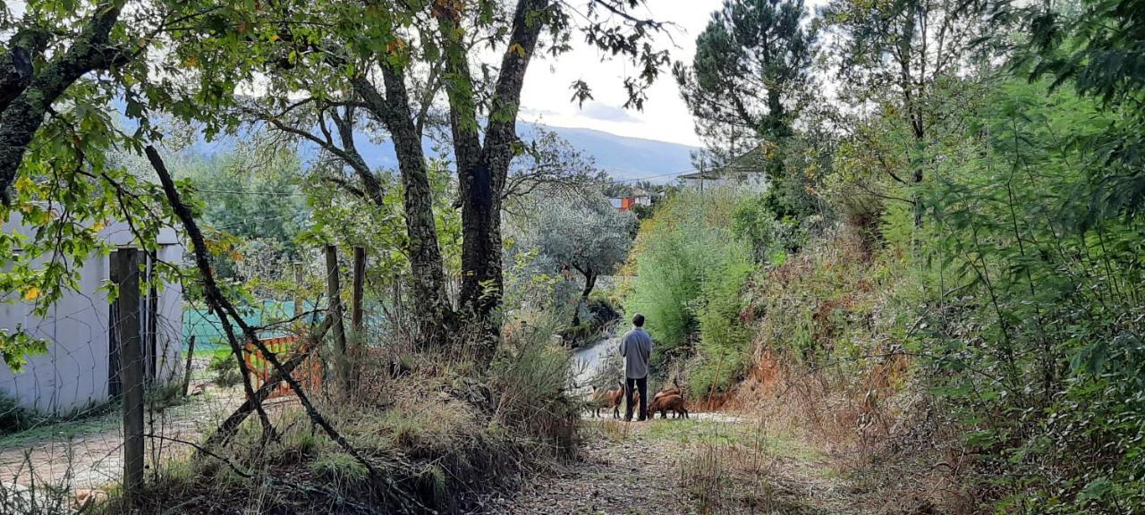 Adore Portugal Bungalow Natureza & Vista De Serra 洛萨 外观 照片