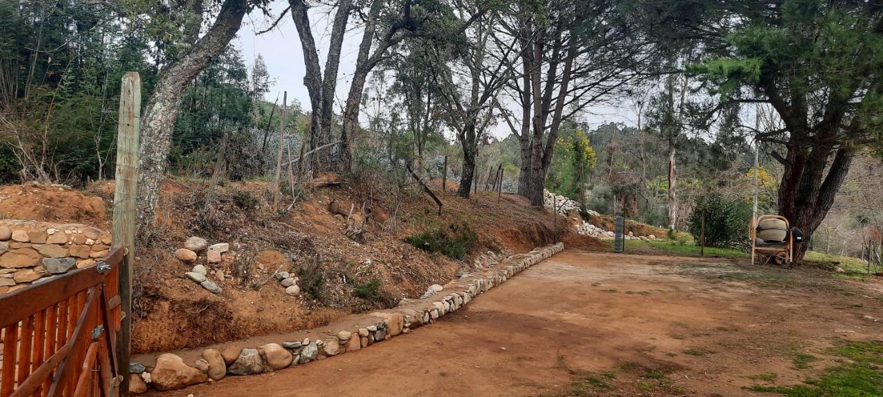 Adore Portugal Bungalow Natureza & Vista De Serra 洛萨 外观 照片